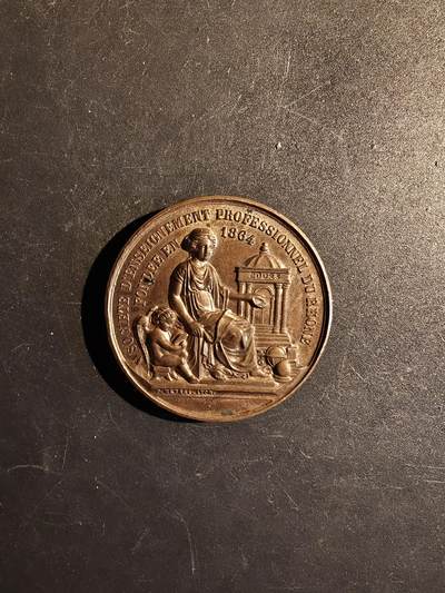 老王徽章第167期 - 法国罗讷省职业培训协会大铜章    直径39mm.   重量35.8g