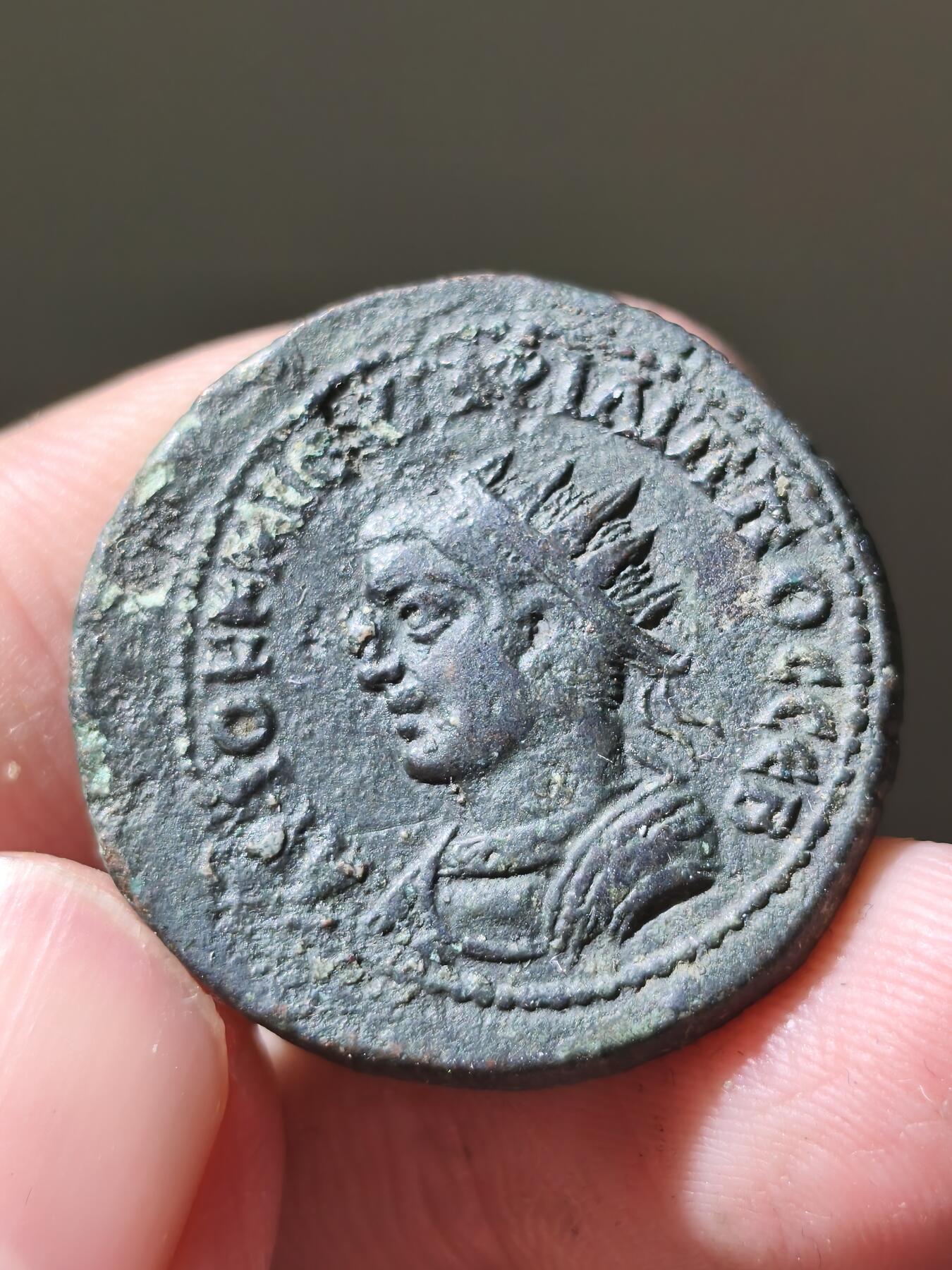 星盘世界钱币十二月六日古典币专场