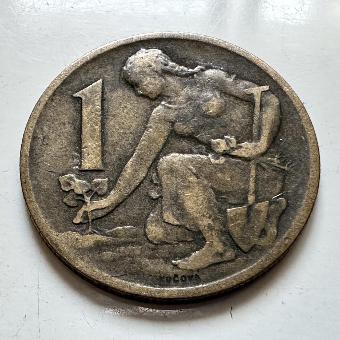 🌹外币初藏🌹🐯2025年第135场  每周二四六晚8️⃣点 接代拍