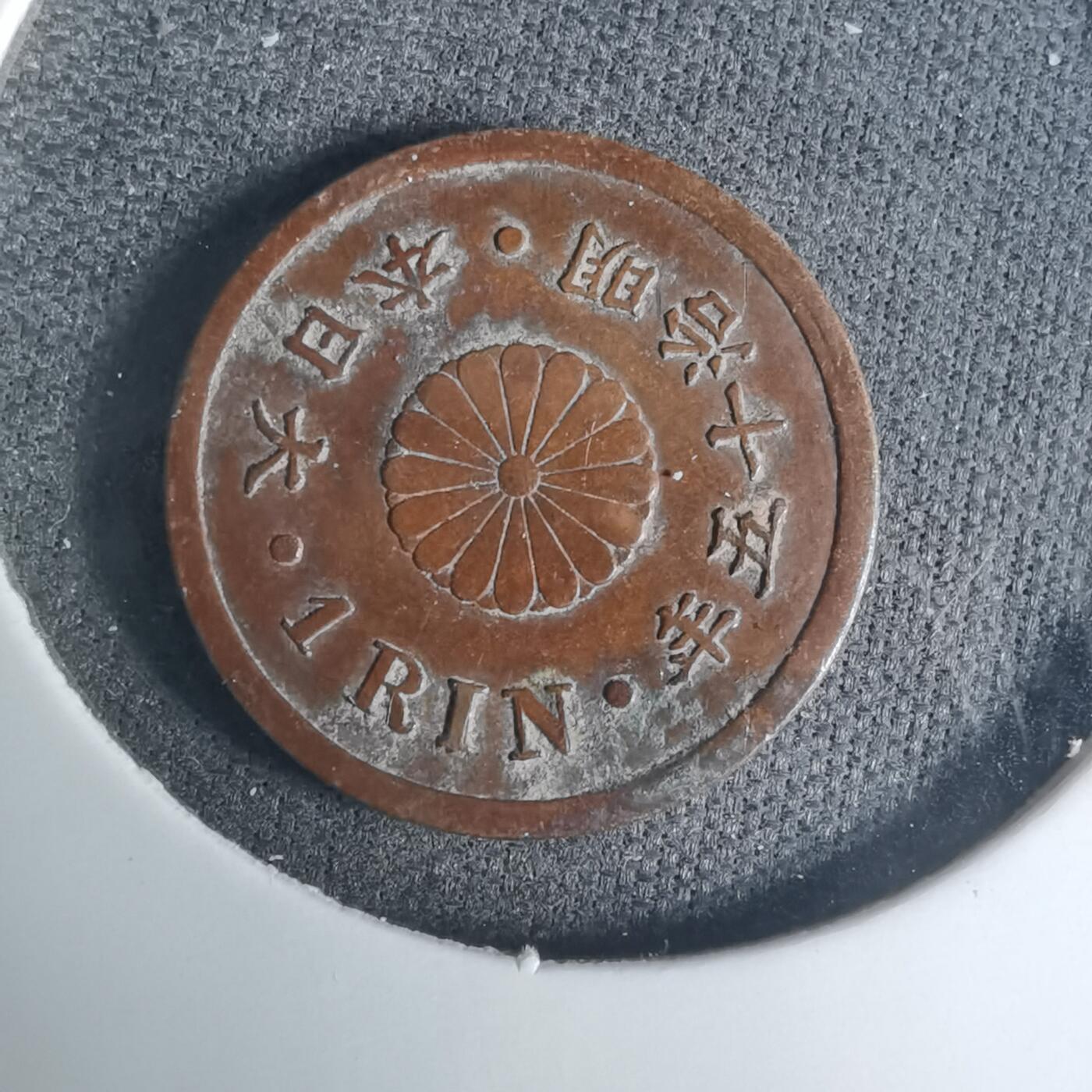 沼泽如烟--第919场