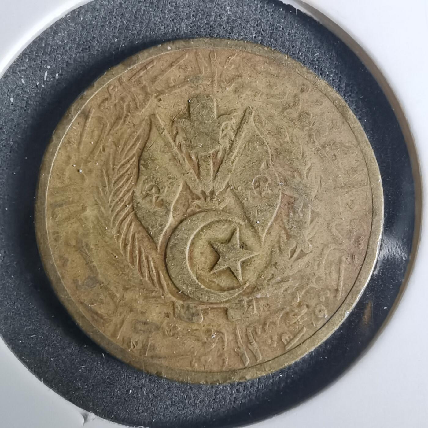 沼泽如烟--第919场