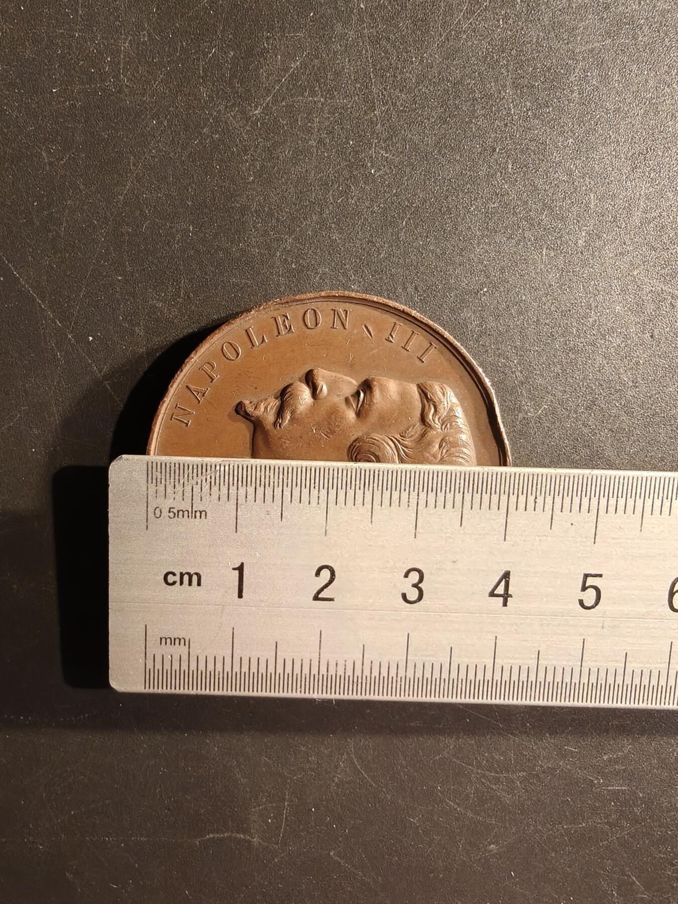 老王徽章第167期 法国拿破仑三世巴约讷艺术协会大铜章     蜜蜂cuivre铜标     直径41mm.    重量35g