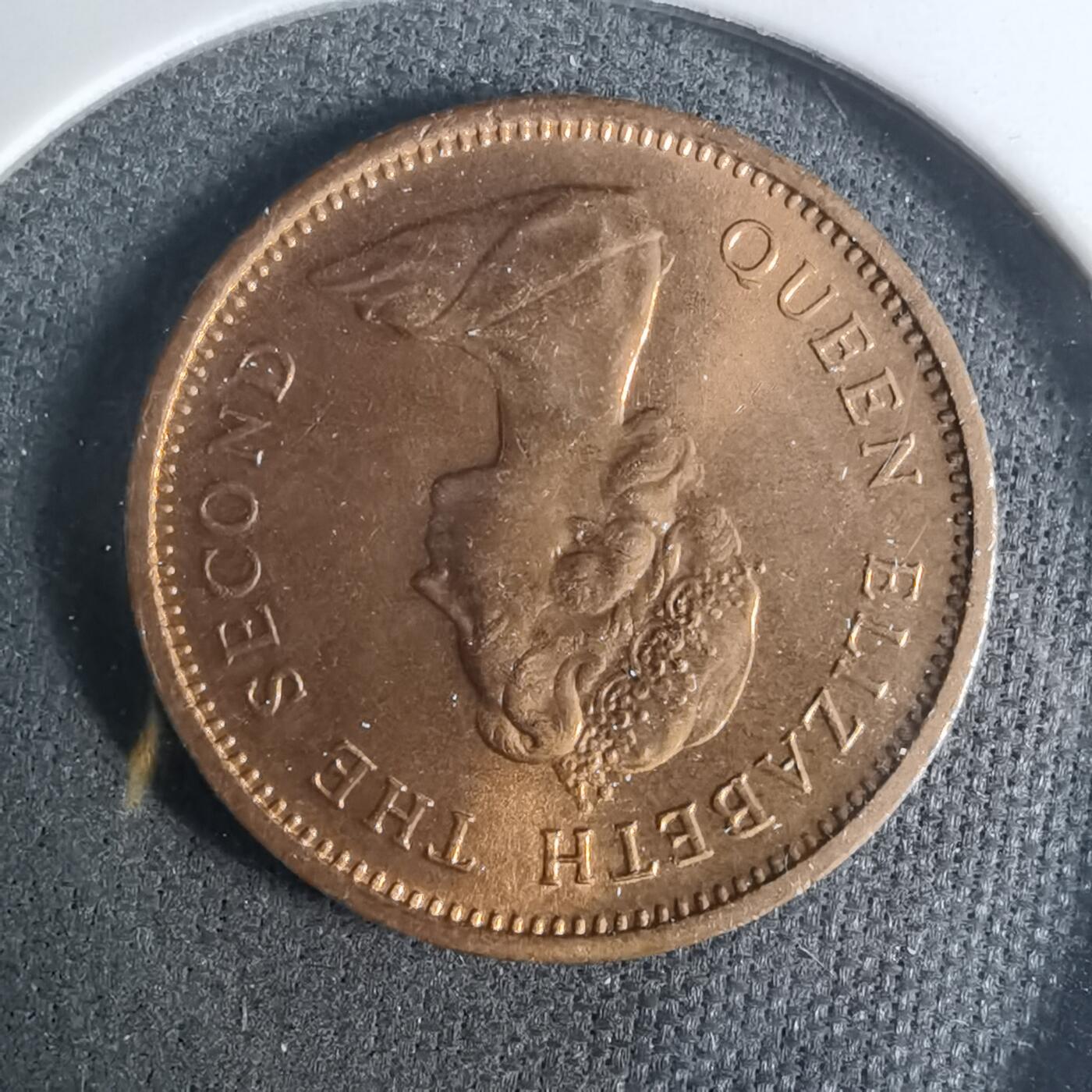 沼泽如烟--第919场