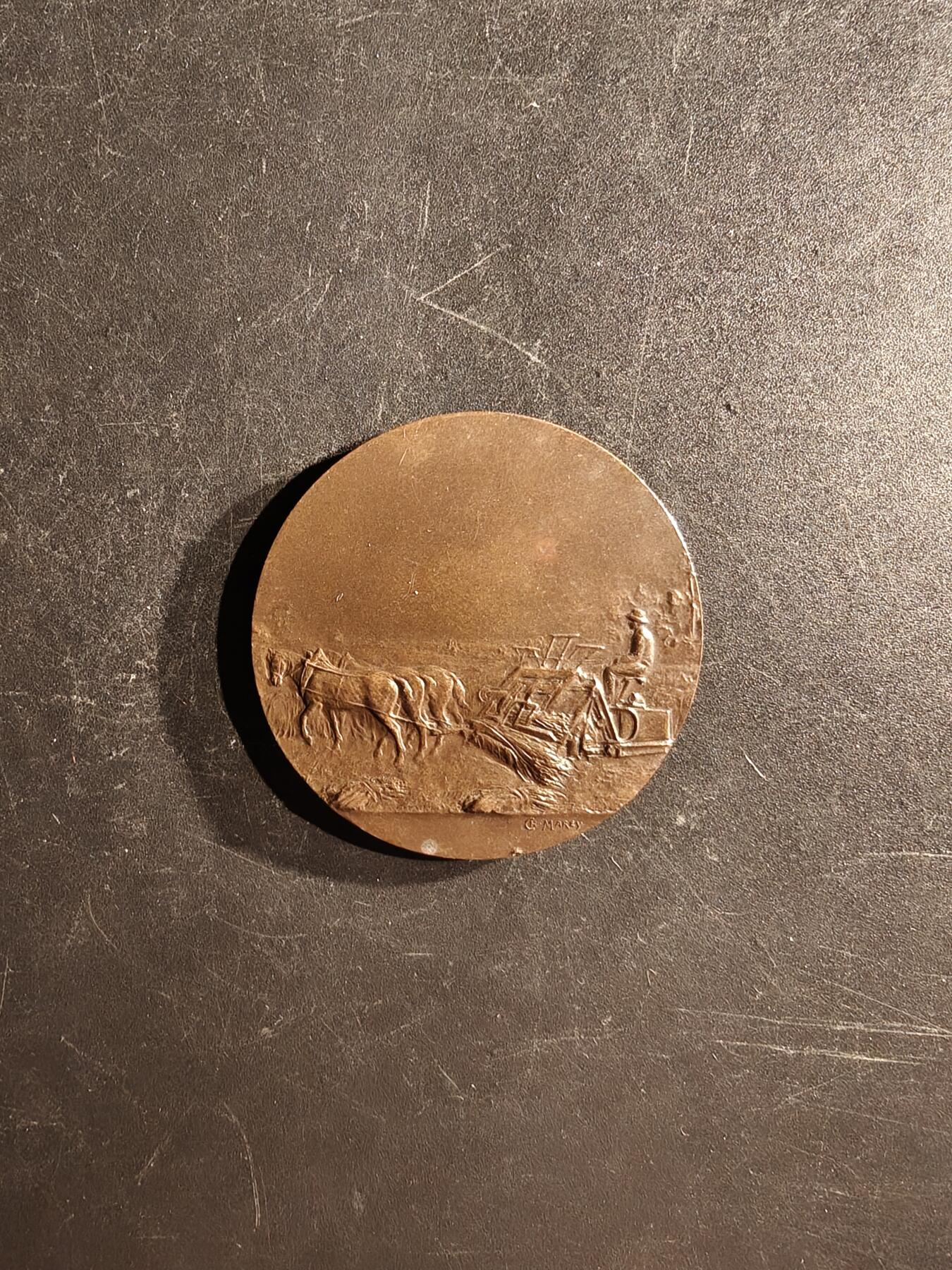 老王徽章第167期 法国默尔特-摩泽尔农业中央协会大铜章     直径41mm.    重量32.2g