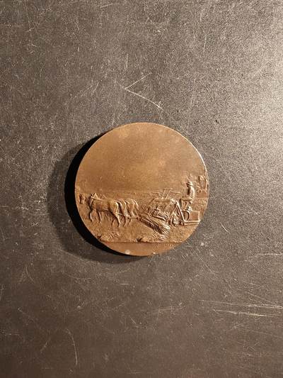 老王徽章第167期 - 法国默尔特-摩泽尔农业中央协会大铜章     直径41mm.    重量32.2g