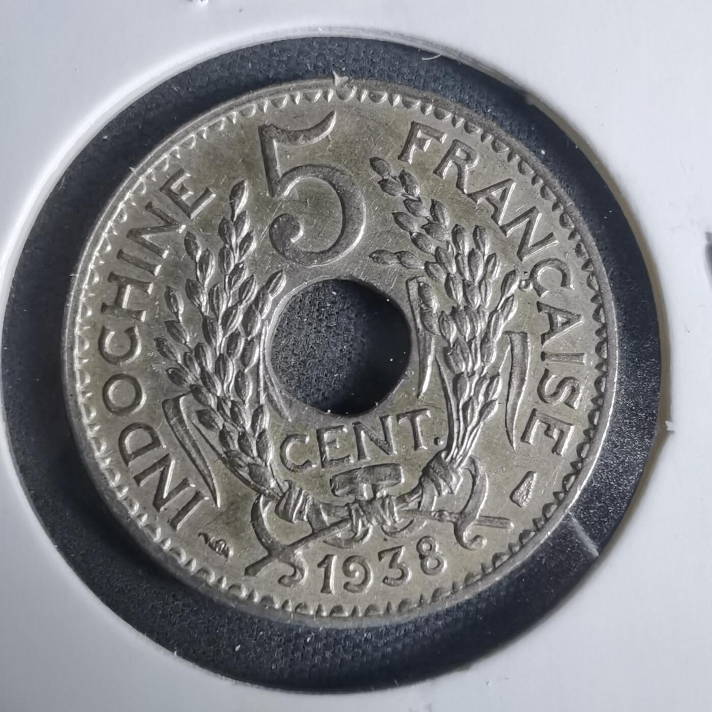 沼泽如烟--第919场