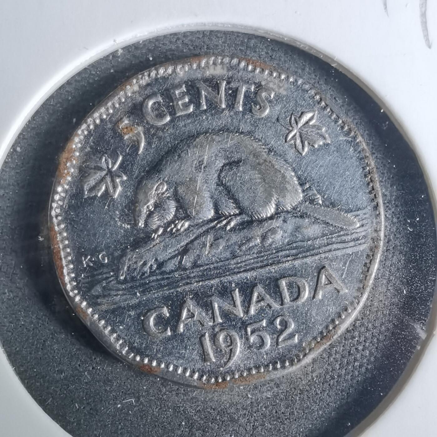 沼泽如烟--第919场