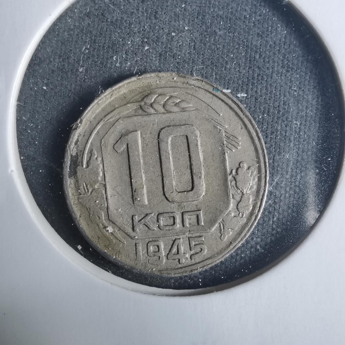 沼泽如烟--第919场