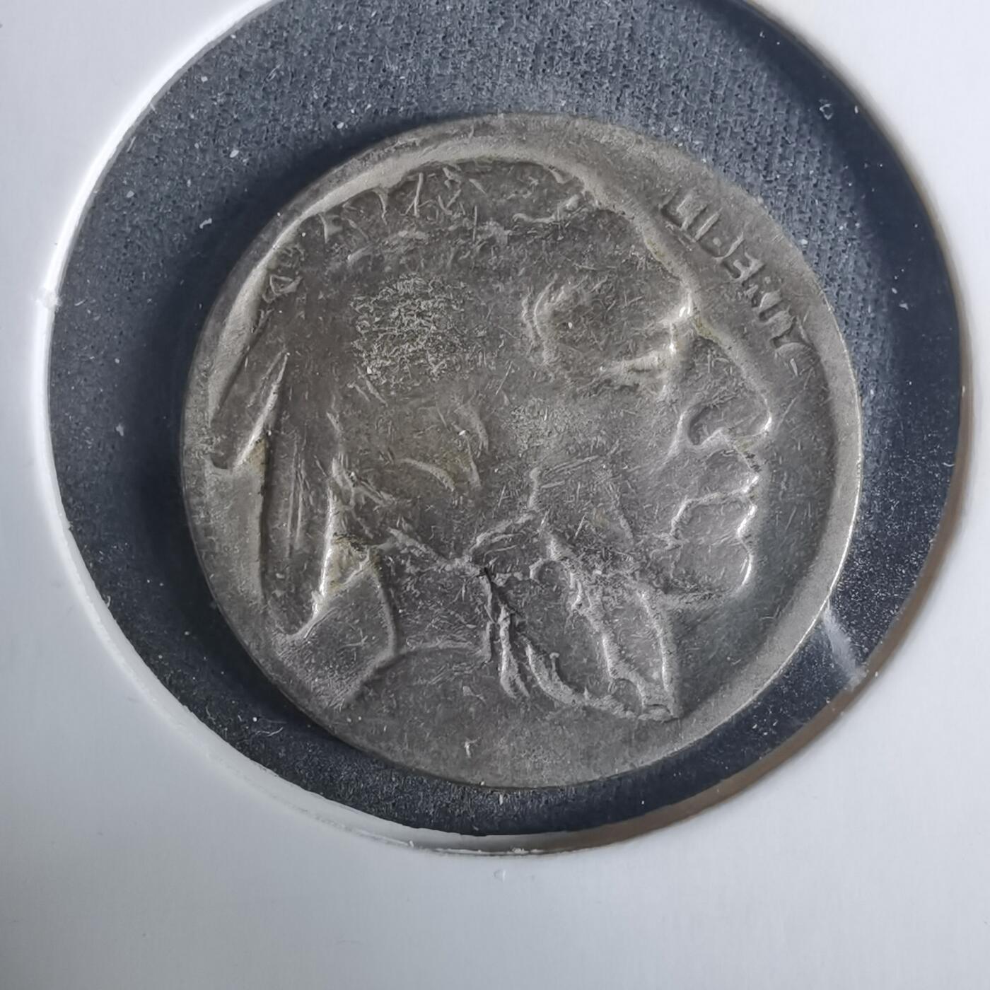 沼泽如烟--第919场 美国野牛五分