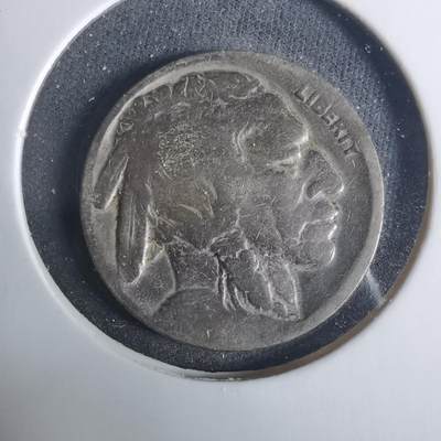 沼泽如烟--第919场 - 美国野牛五分