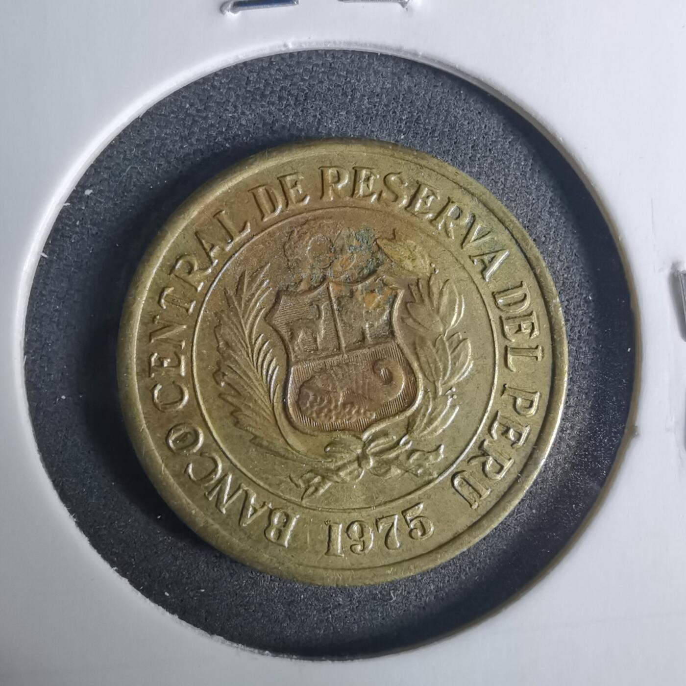 沼泽如烟--第919场