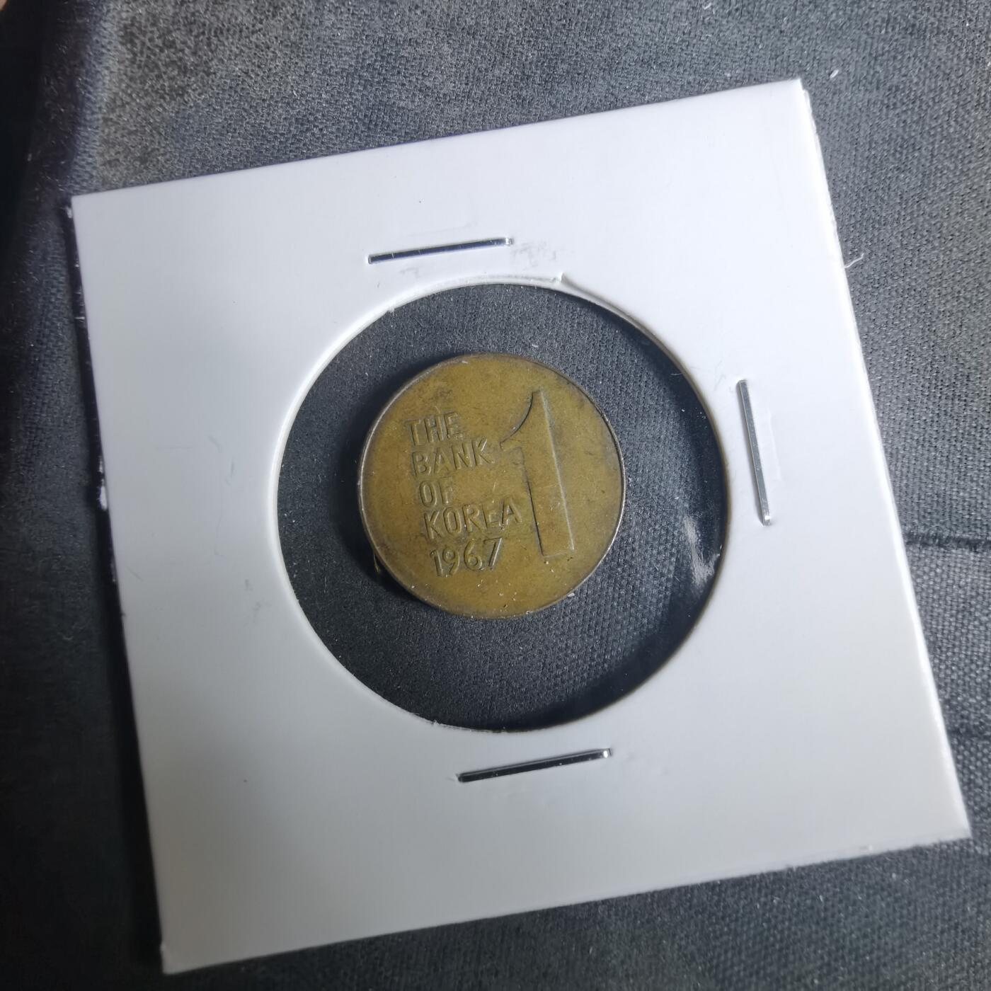 沼泽如烟--第919场