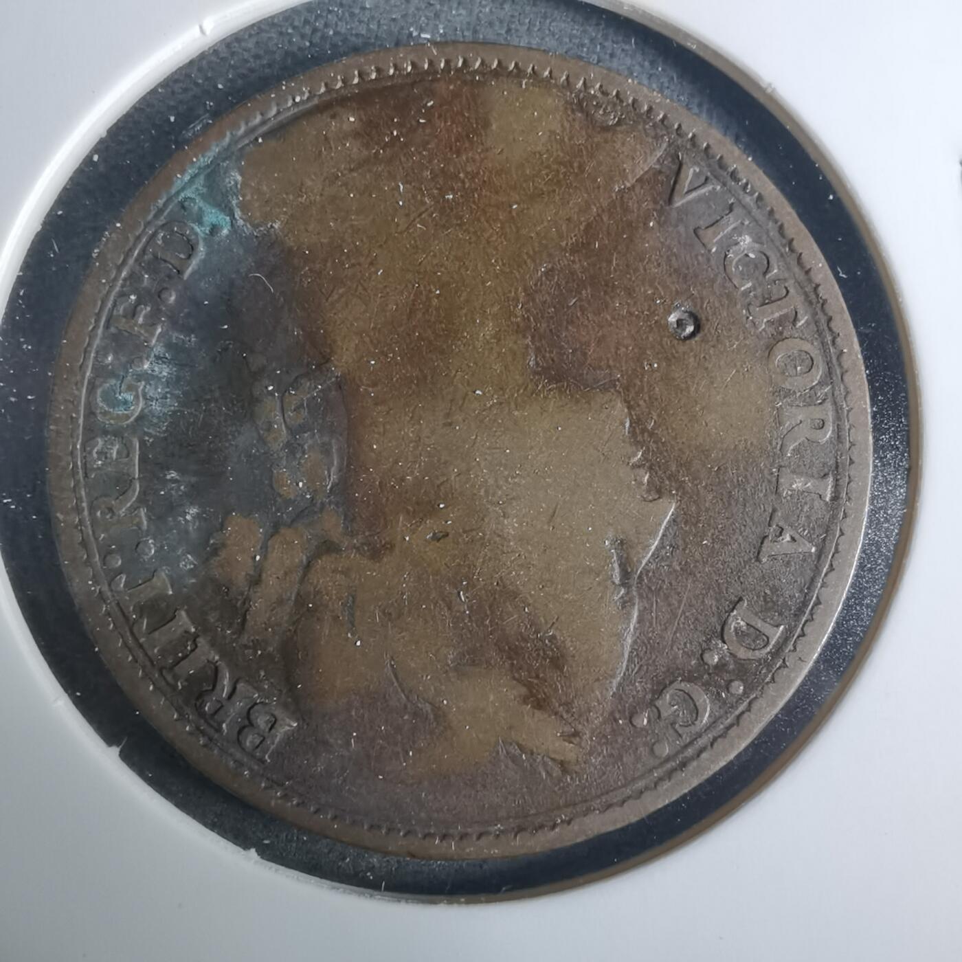 沼泽如烟--第919场