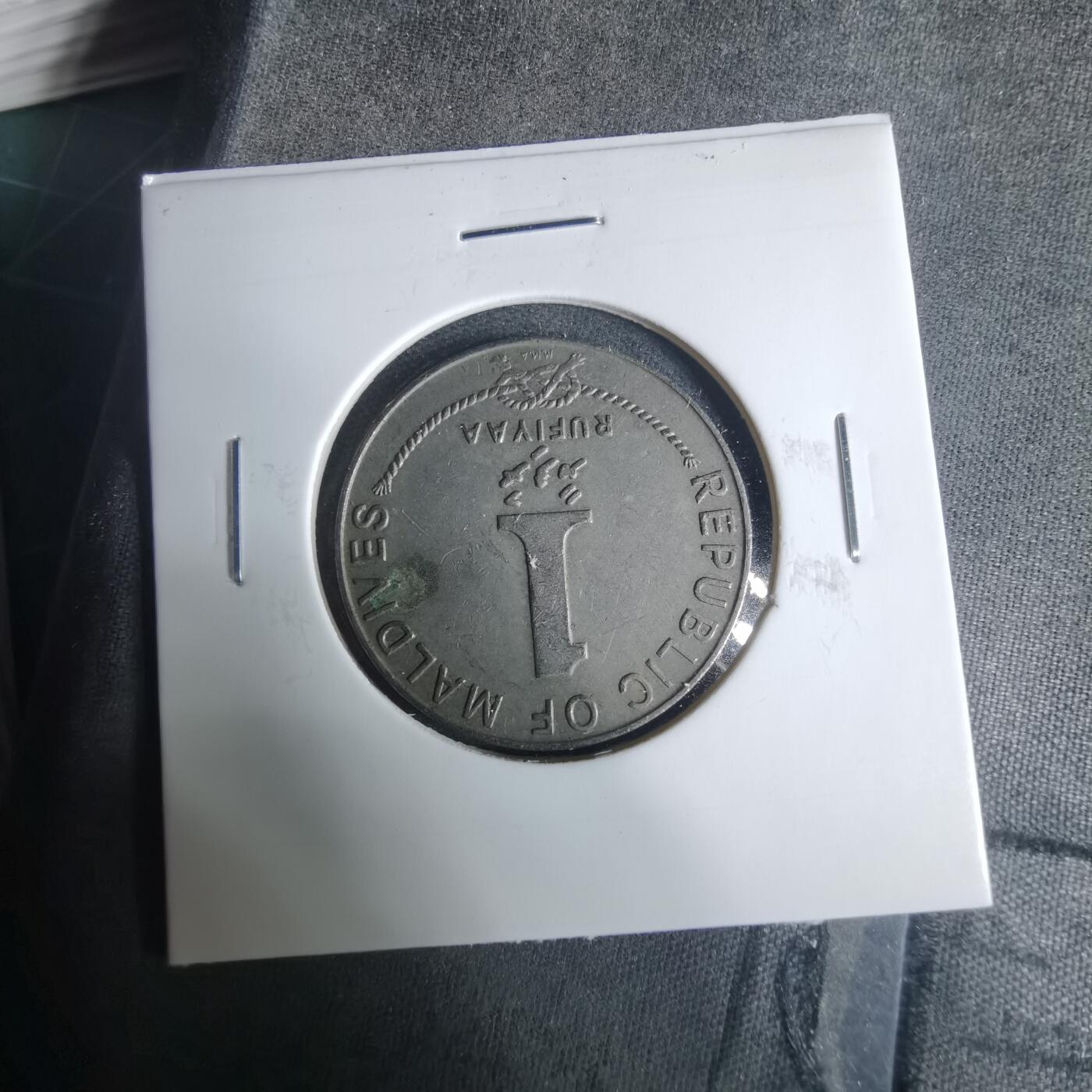 沼泽如烟--第919场