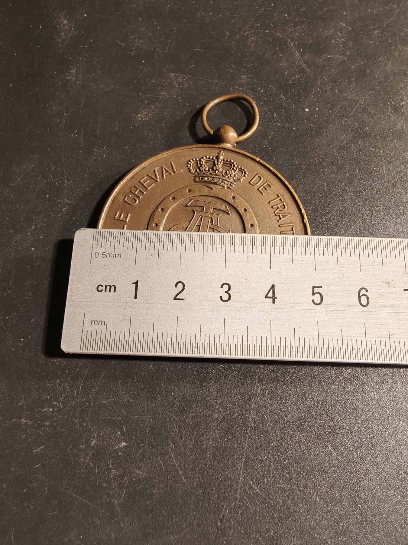 老王徽章第167期 比利时皇家阿登马协会奖章      直径50mm.    重量52.9g