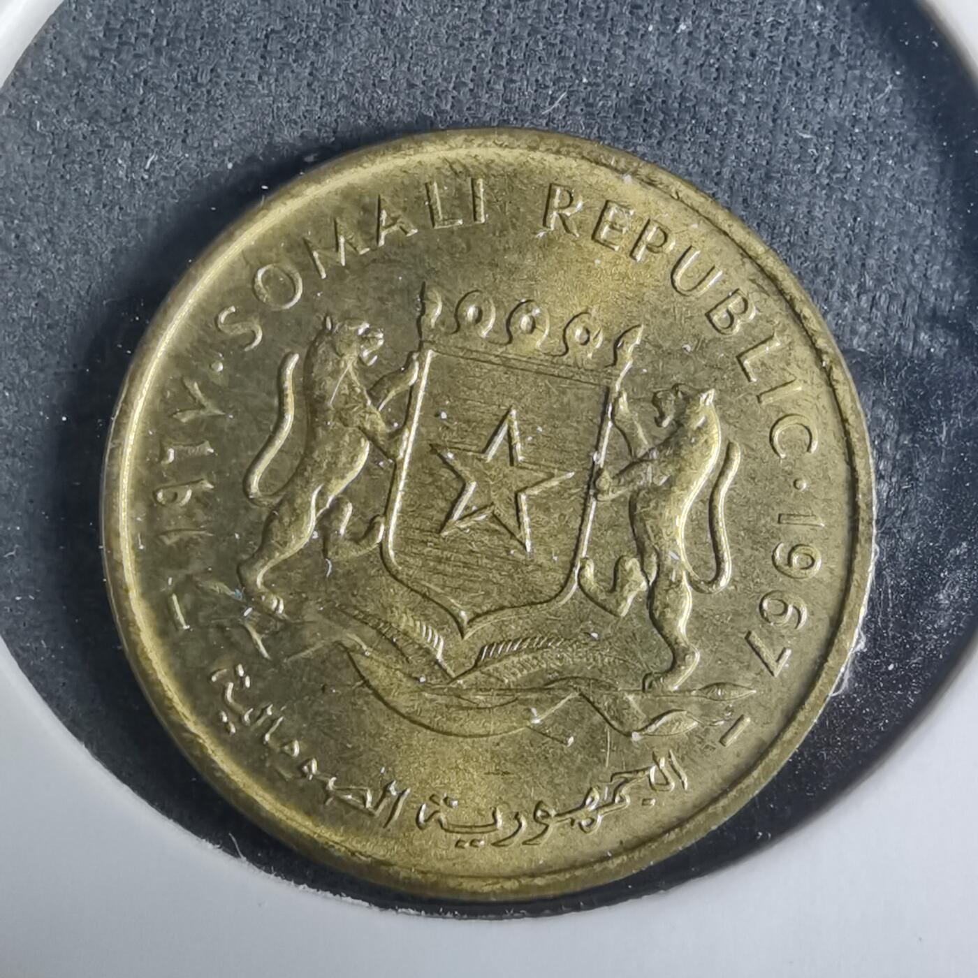 沼泽如烟--第919场