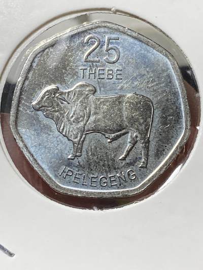 2025年第一百三十三场(总第一百五十九场）外国好品纸夹散币场(免佣金) - 博茨瓦纳🇧🇼2013单年份25西比(第三套流通硬币)