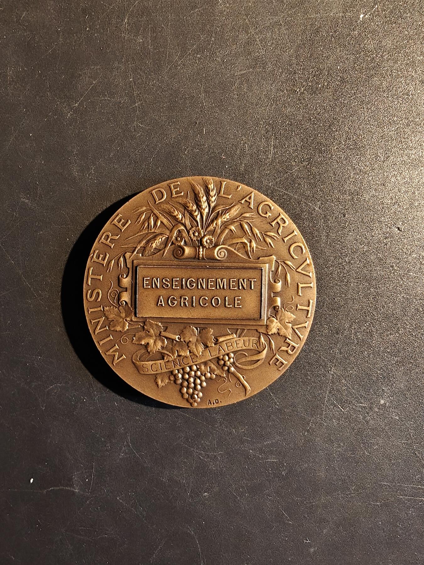 老王徽章第167期 法国农业竞赛大铜章     阿尔菲•杜布瓦作品     直径50mm.    重量67.7g
