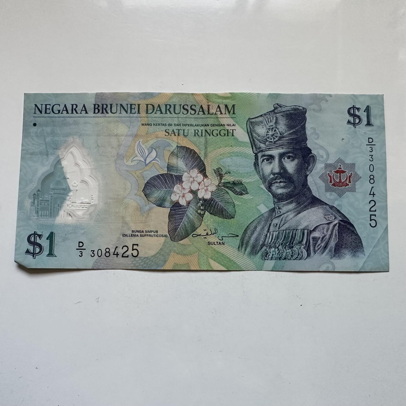 🌹外币初藏🌹🐯2025年第135场  每周二四六晚8️⃣点 接代拍 文莱2011年¥1