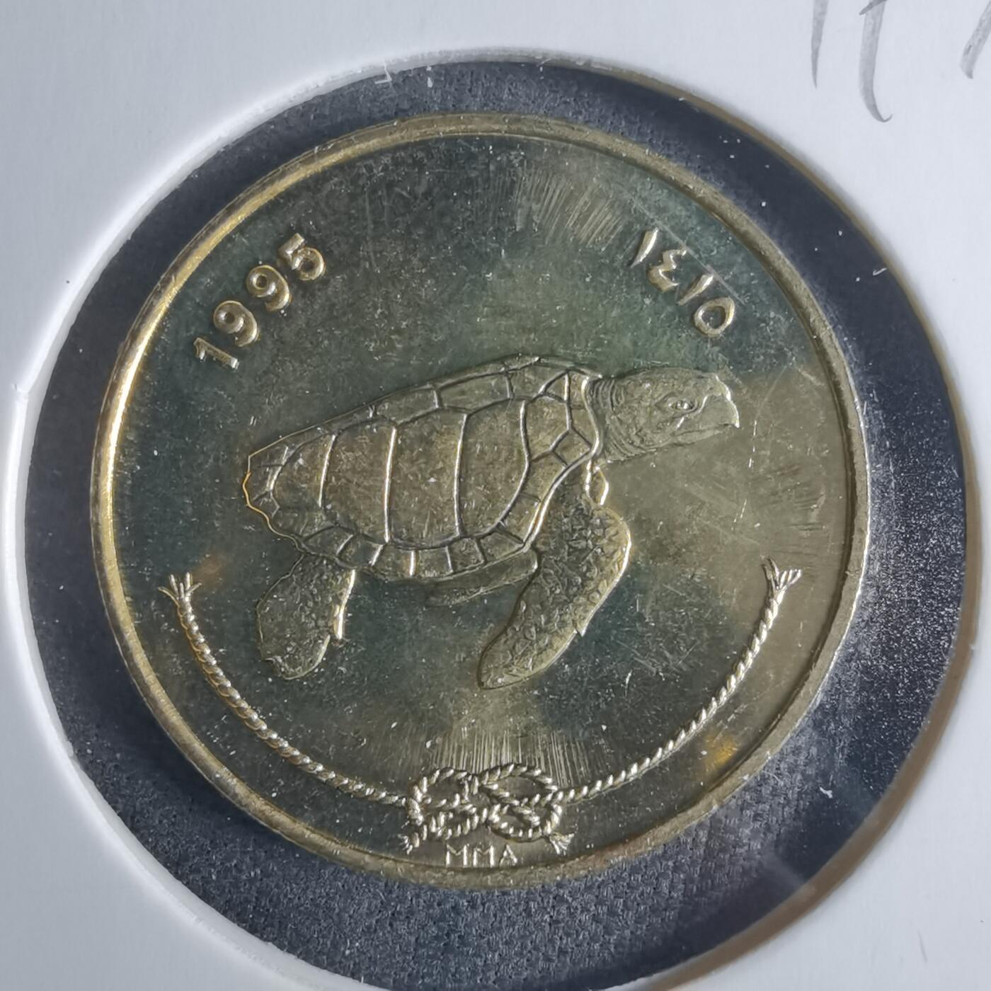 沼泽如烟--第919场