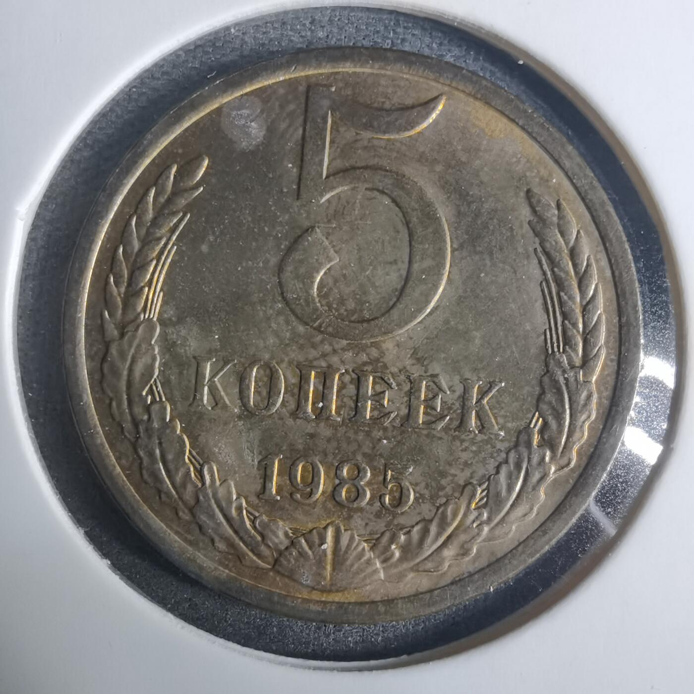 沼泽如烟--第919场