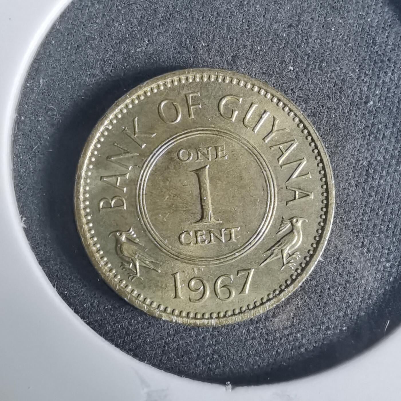 沼泽如烟--第919场