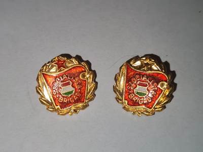 韵星假日拍卖第三十一期 -- Rimey Holidays Auction 31 - 匈牙利人民共和国金级工人战斗旅证章一组