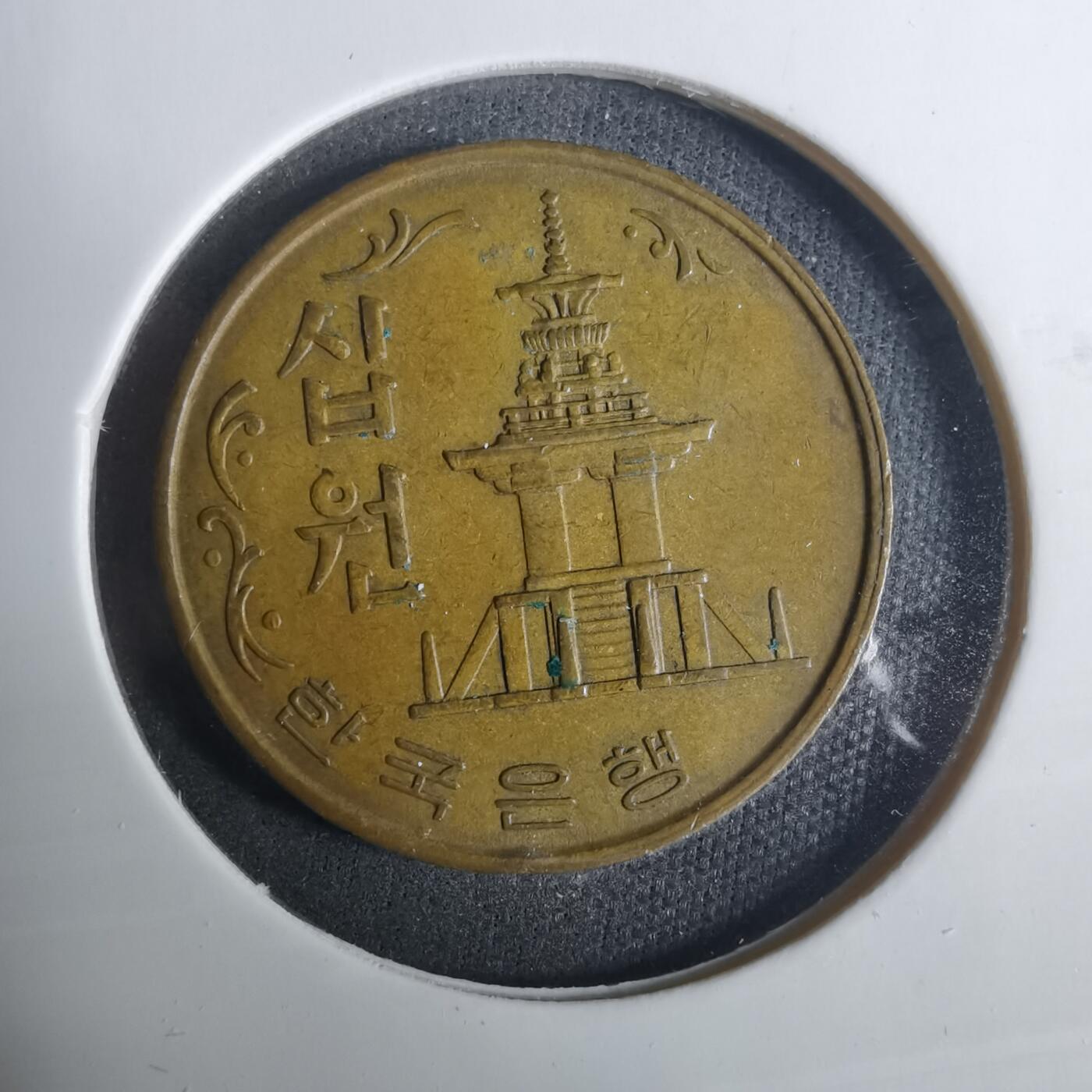 沼泽如烟--第919场