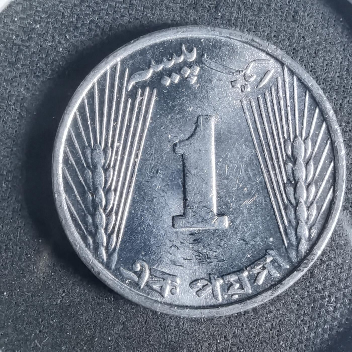 沼泽如烟--第919场