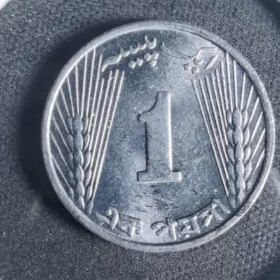 沼泽如烟--第919场 - 巴基斯坦1971年1派沙