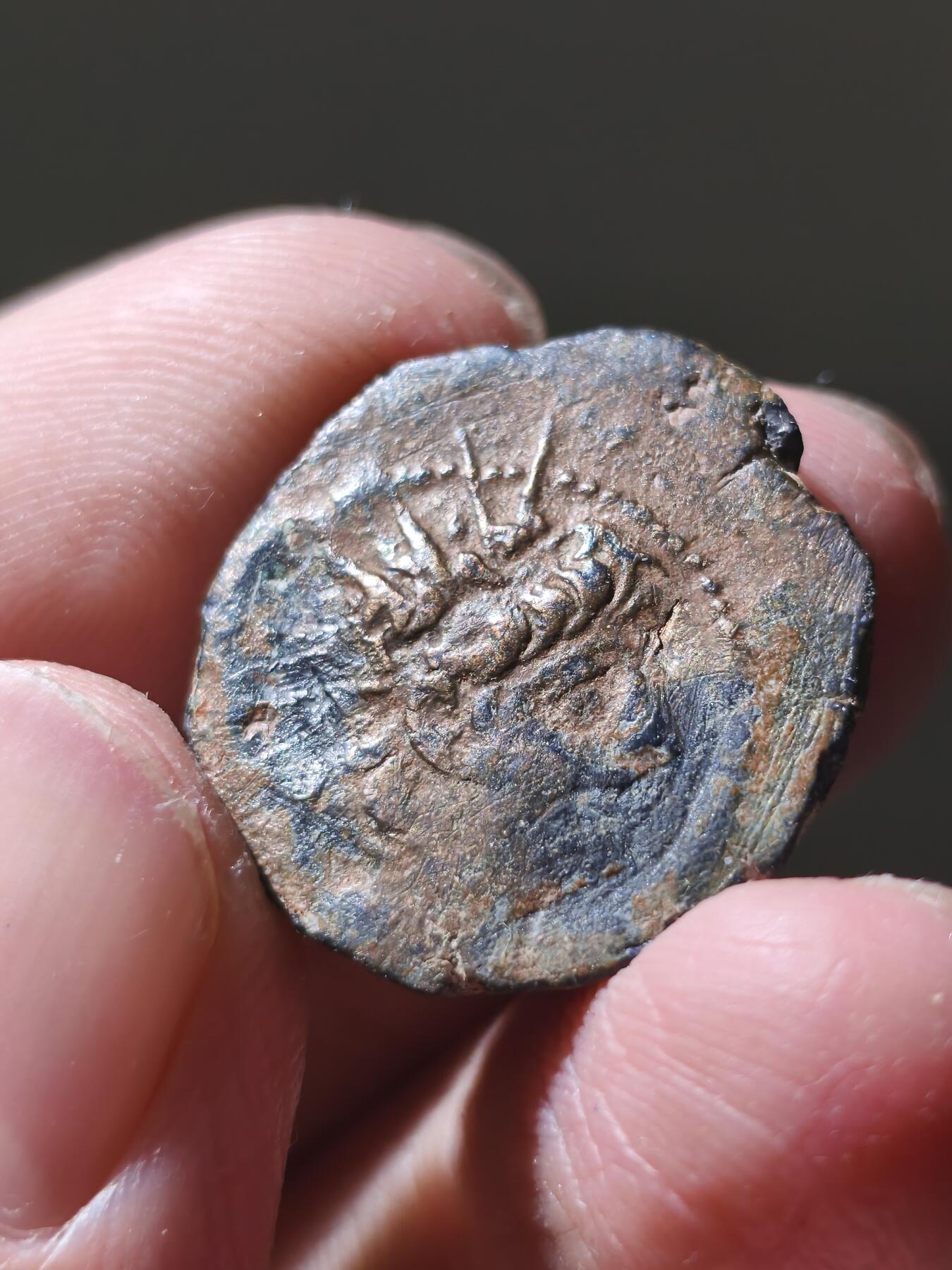 星盘世界钱币十二月六日古典币专场