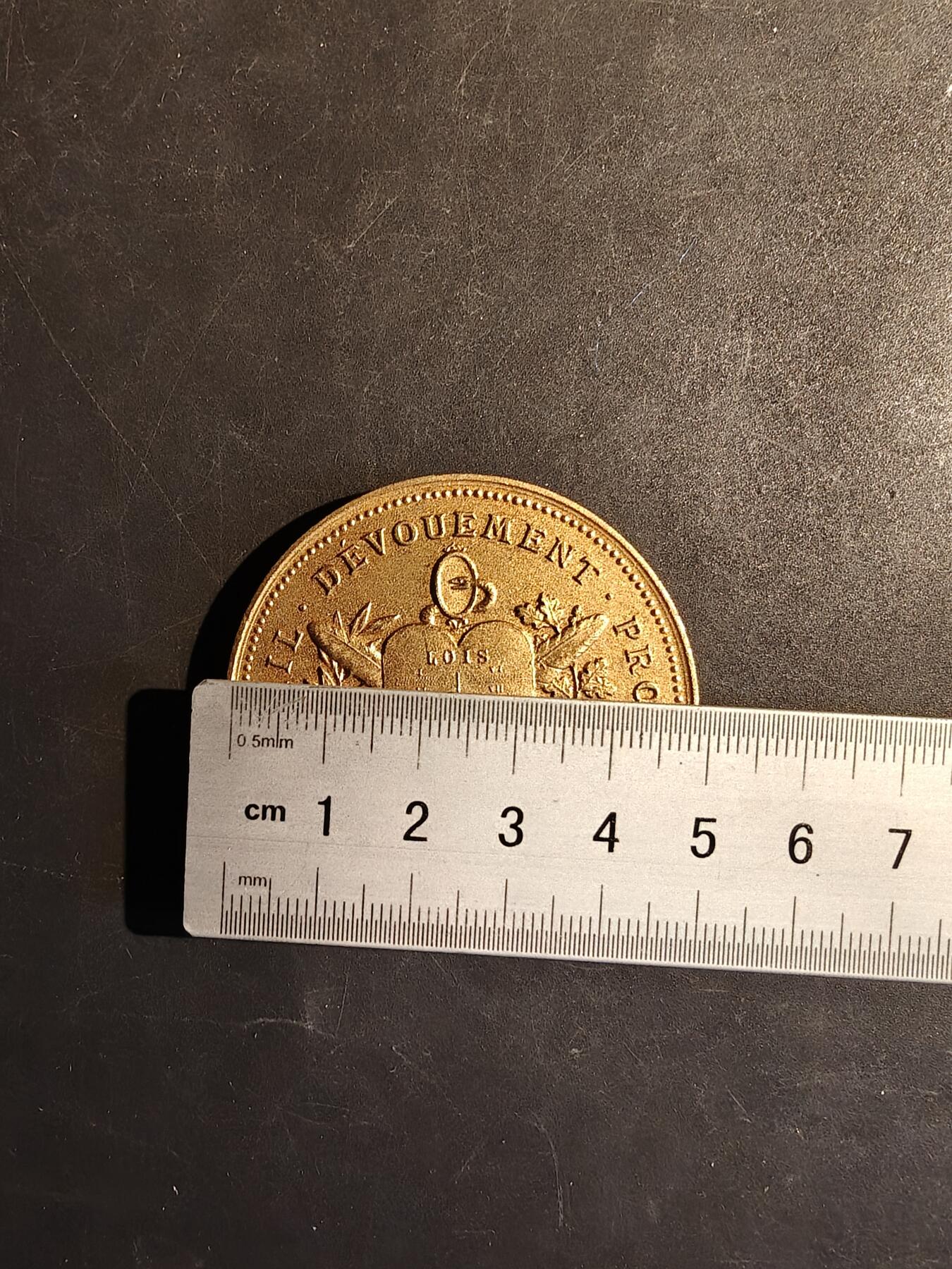 老王徽章第167期 法国公证人职员培训协会镀金大铜章     直径50mm.    重量64.3g