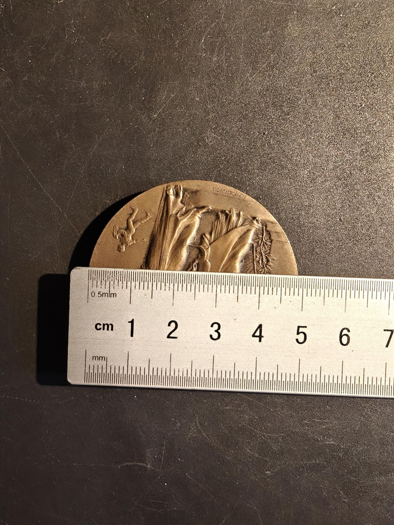 老王徽章第167期 法国农业竞赛大铜章    阿尔菲•杜布瓦作品     直径50mm.    重量59.9g