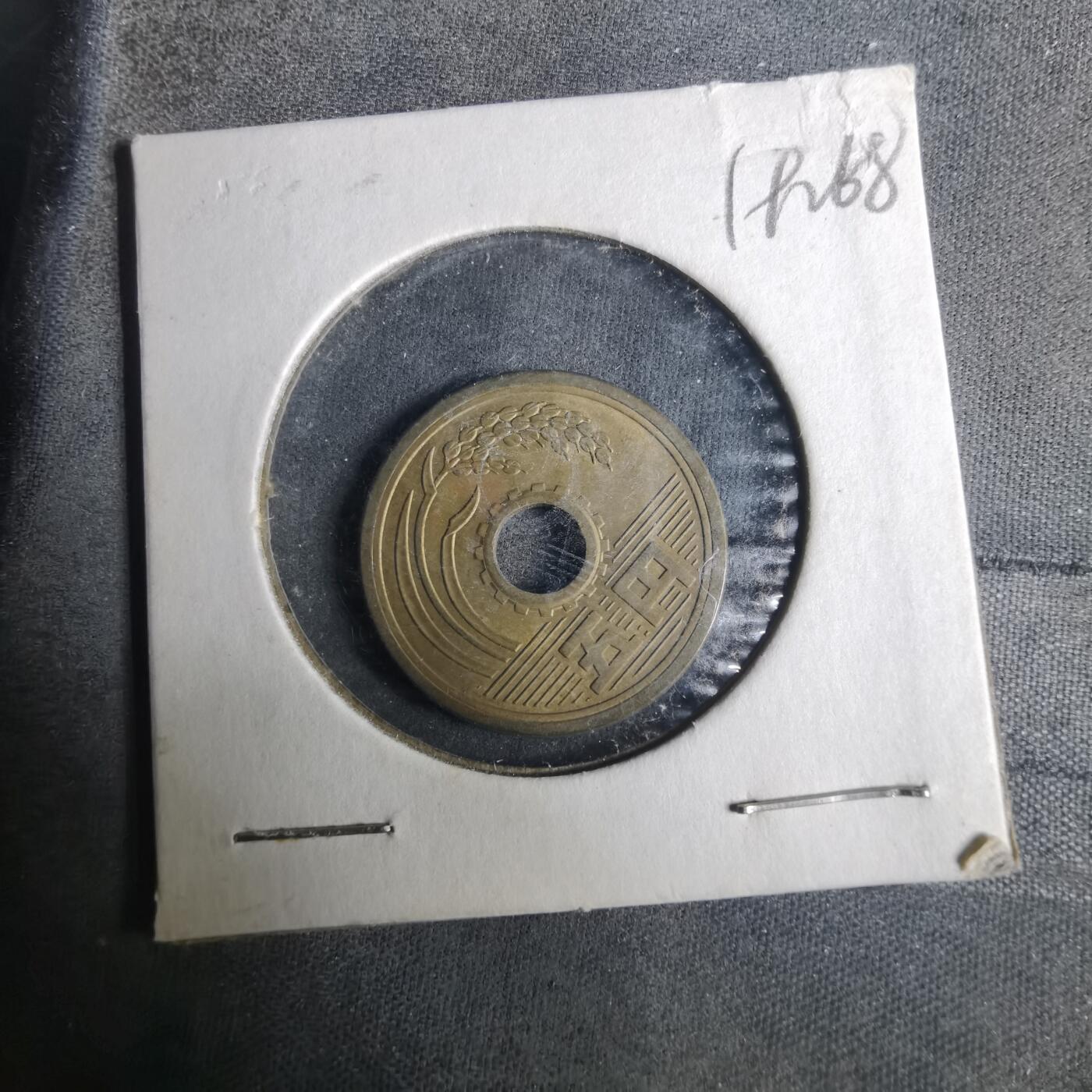 沼泽如烟--第919场