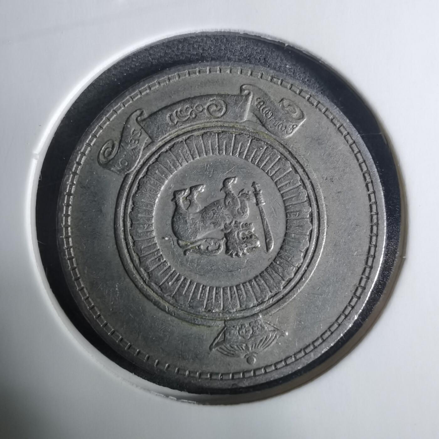 沼泽如烟--第919场