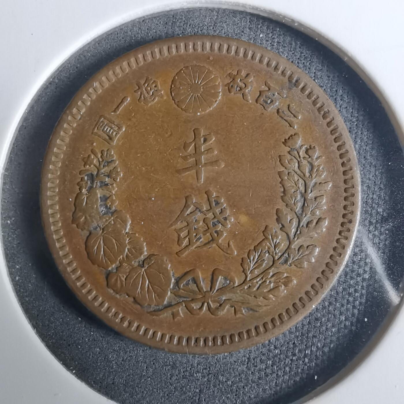 沼泽如烟--第919场