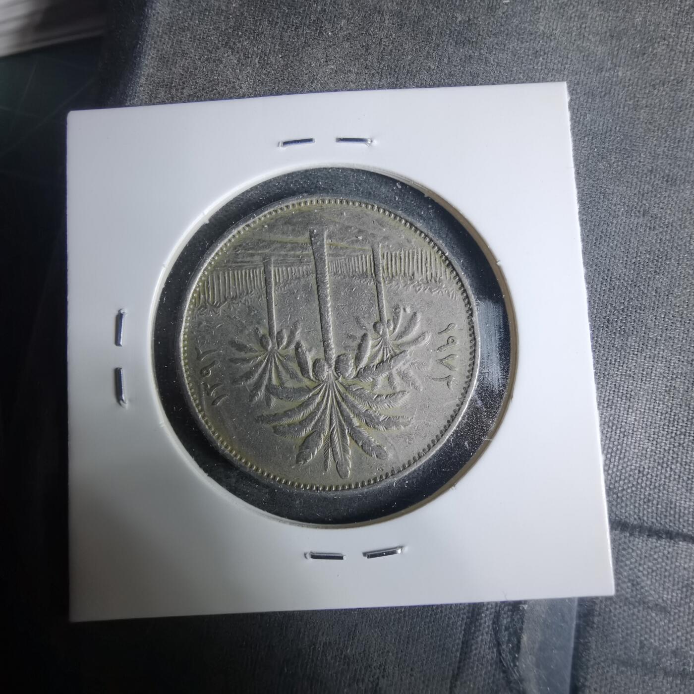 沼泽如烟--第919场