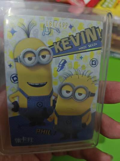 第十五期（周日截拍）惊喜不断看简介 - 集卡社 小黄人 181/499