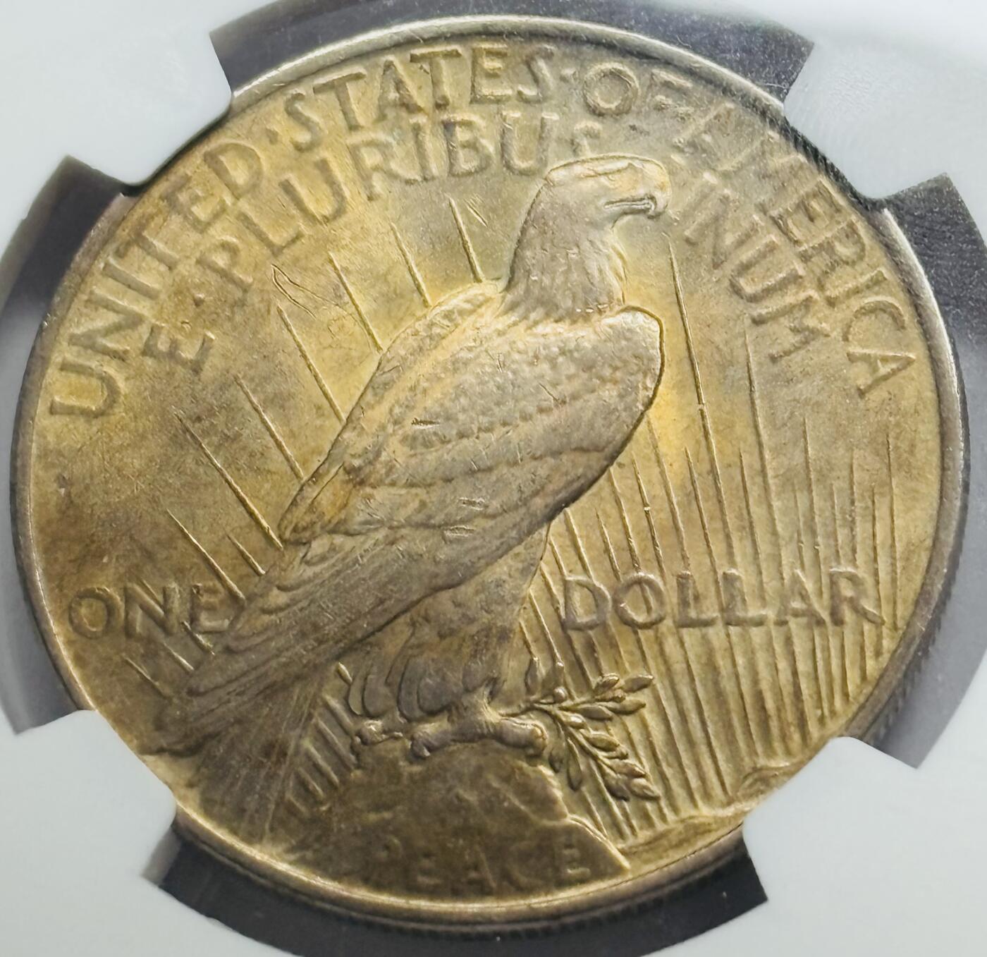 文馨钱币收藏第 283 场，【大雪鉴珍，寒英缀金】金银纪念币精品场，诚邀您的参与【长期接代拍品】 1922 年美国和平鸽一元银元，NGC 评级 AUD，金色包浆立体饱满，整体金黄状态，视觉感拉满