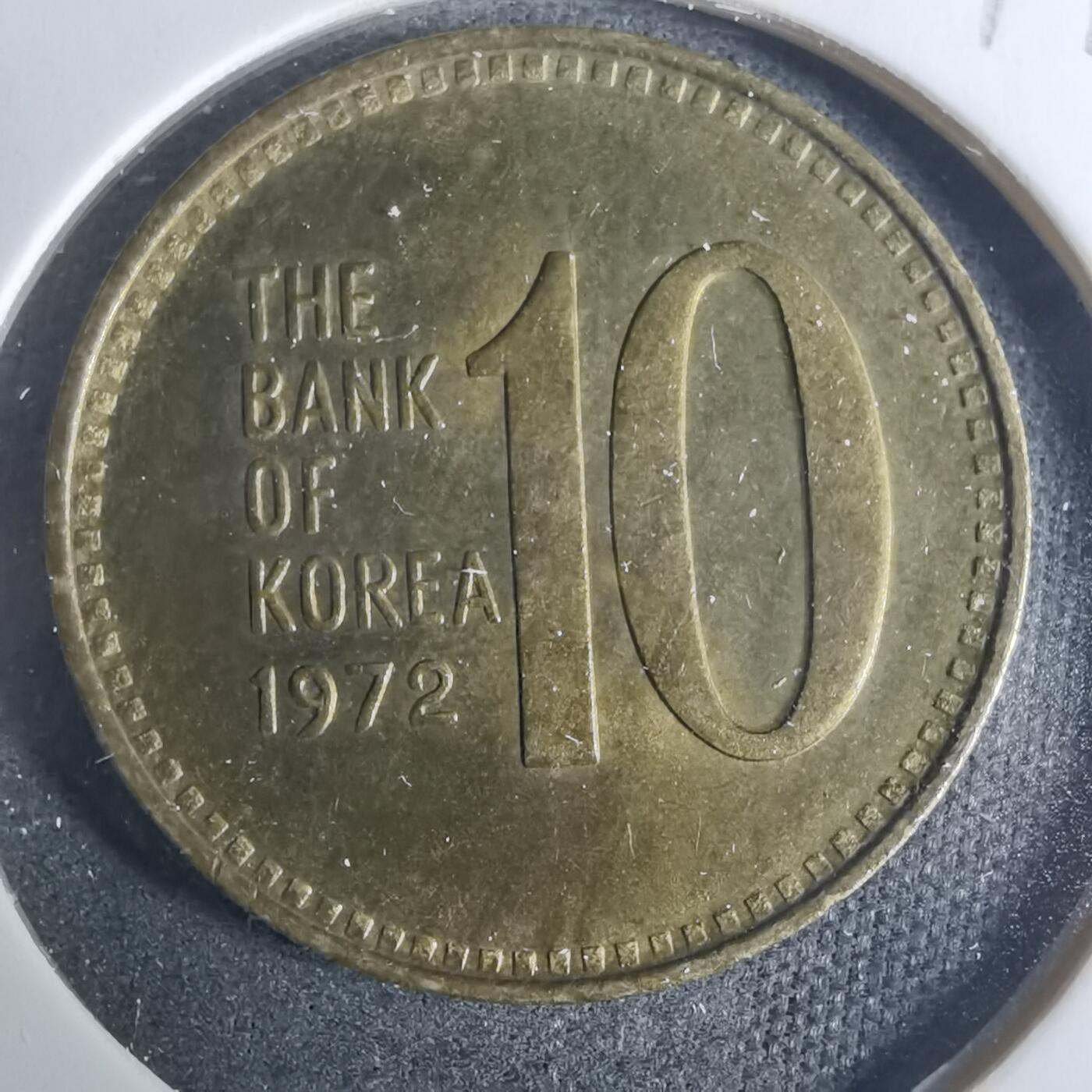 沼泽如烟--第919场