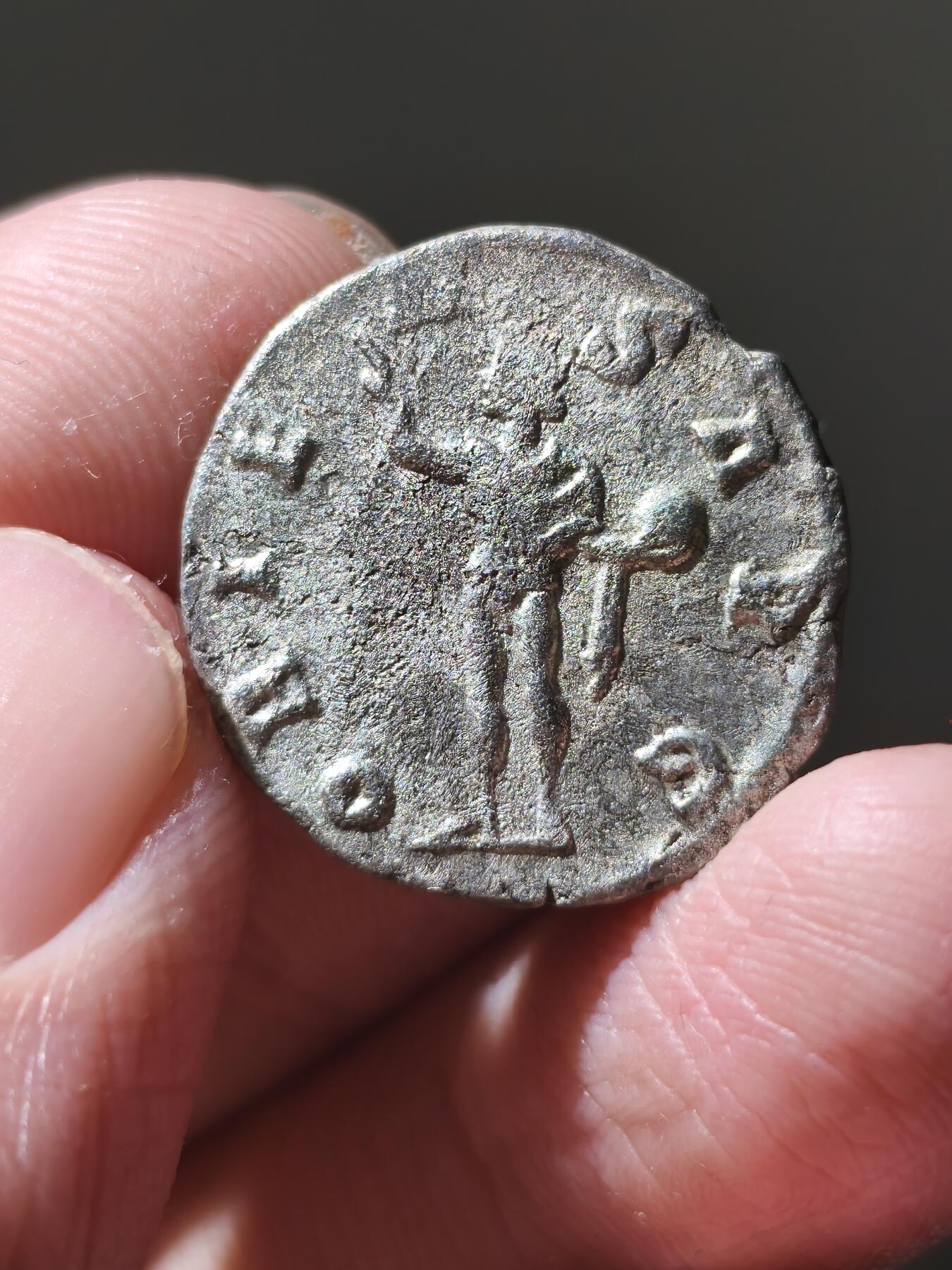 星盘世界钱币十二月六日古典币专场