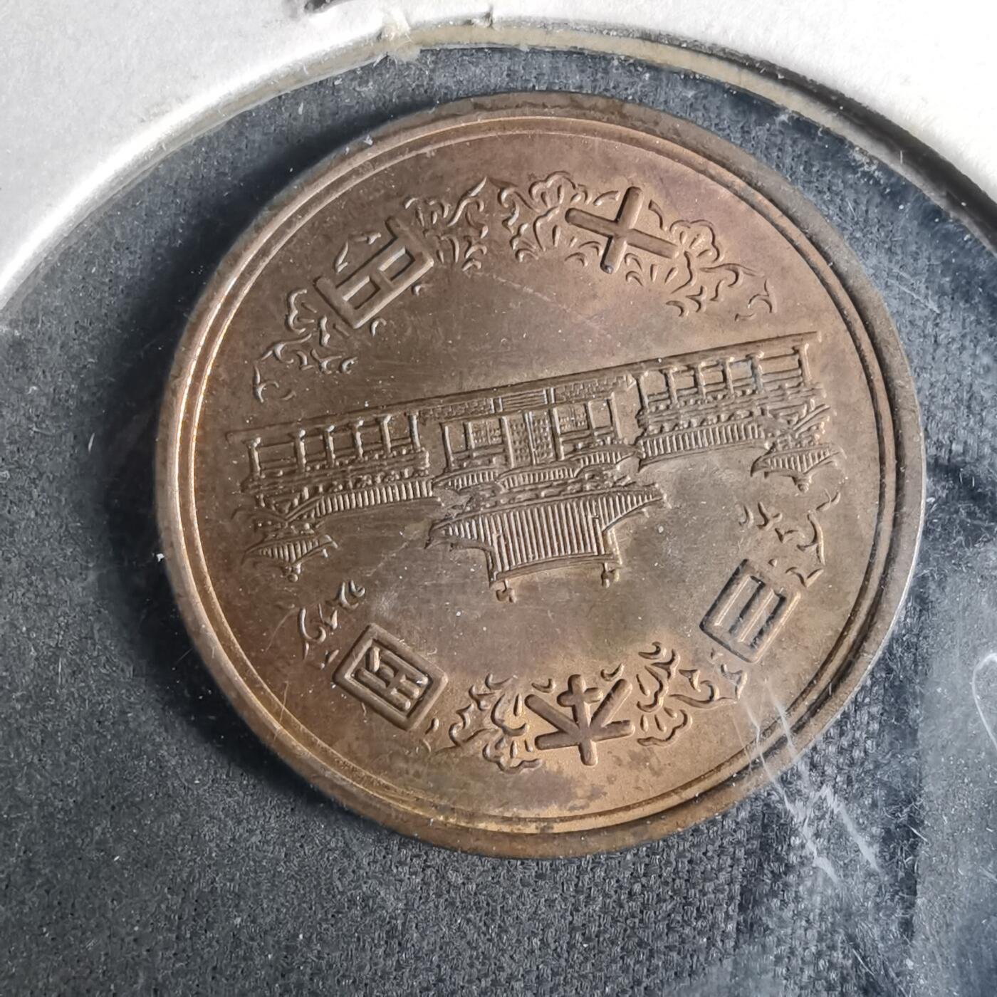 沼泽如烟--第919场