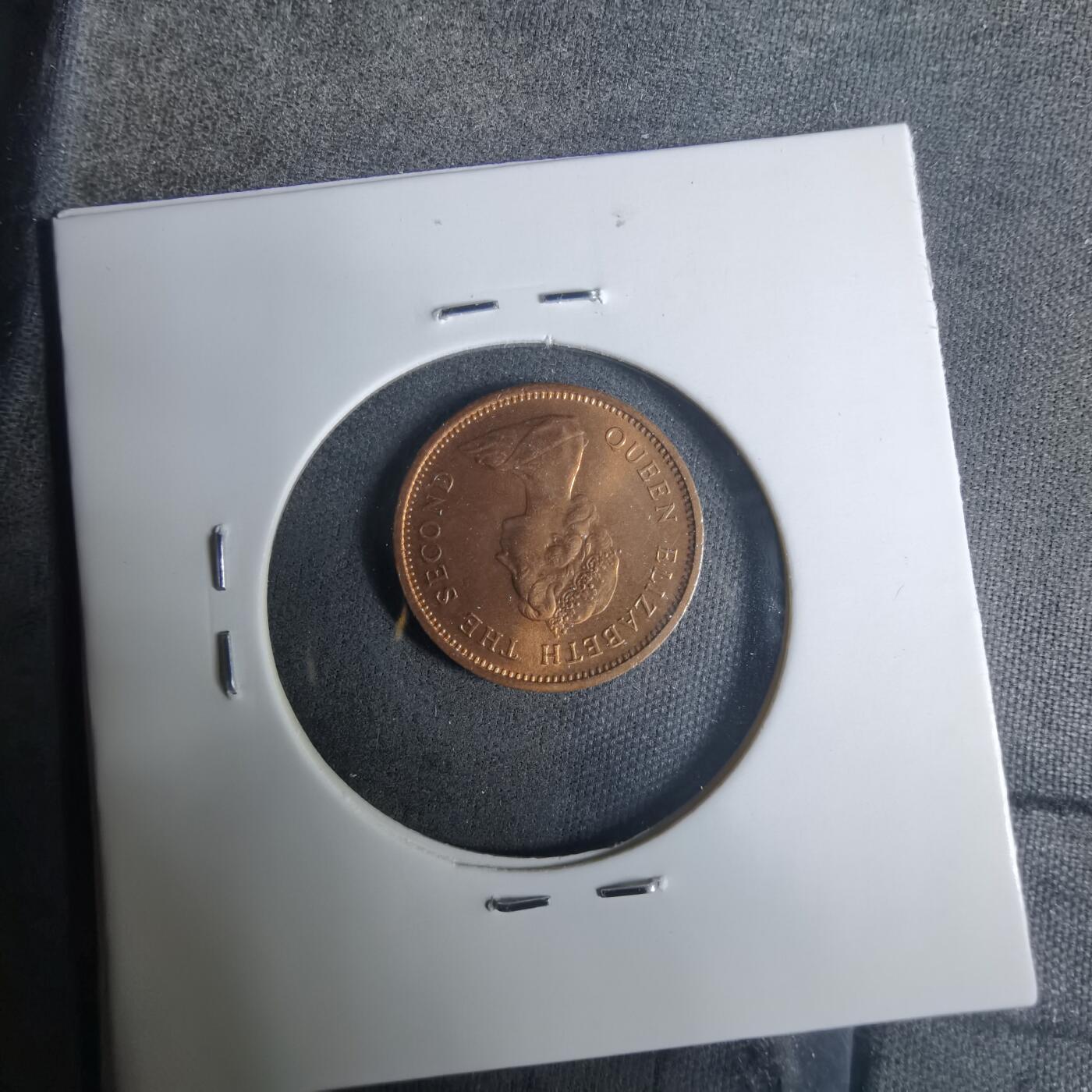 沼泽如烟--第919场