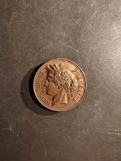 老王徽章第167期 - 法国1896农业和葡萄栽培竞赛大铜章     直径41mm.    重量32.2g