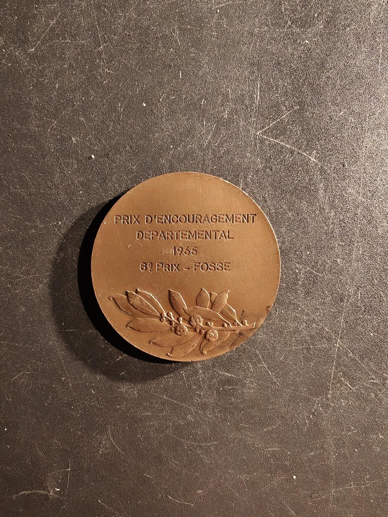 老王徽章第167期