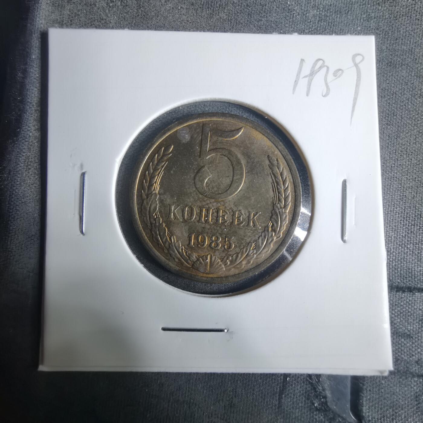 沼泽如烟--第919场