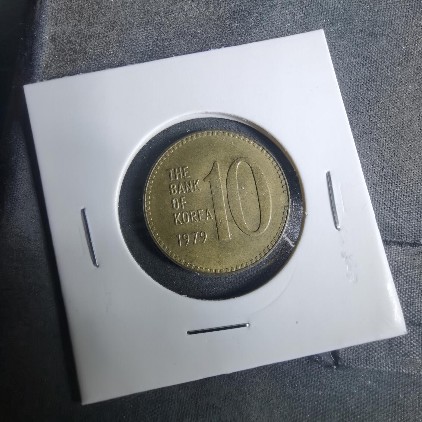 沼泽如烟--第919场