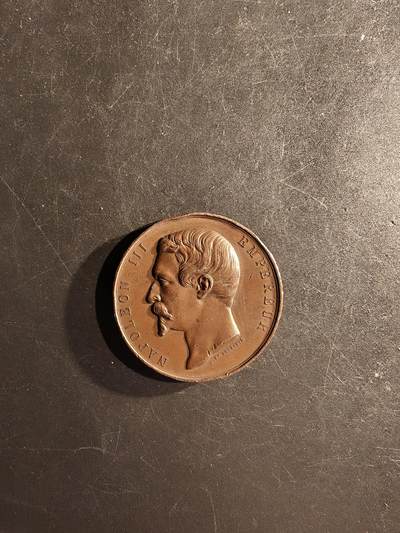 老王徽章第167期 - 法国拿破仑三世巴约讷艺术协会大铜章     蜜蜂cuivre铜标     直径41mm.    重量35g