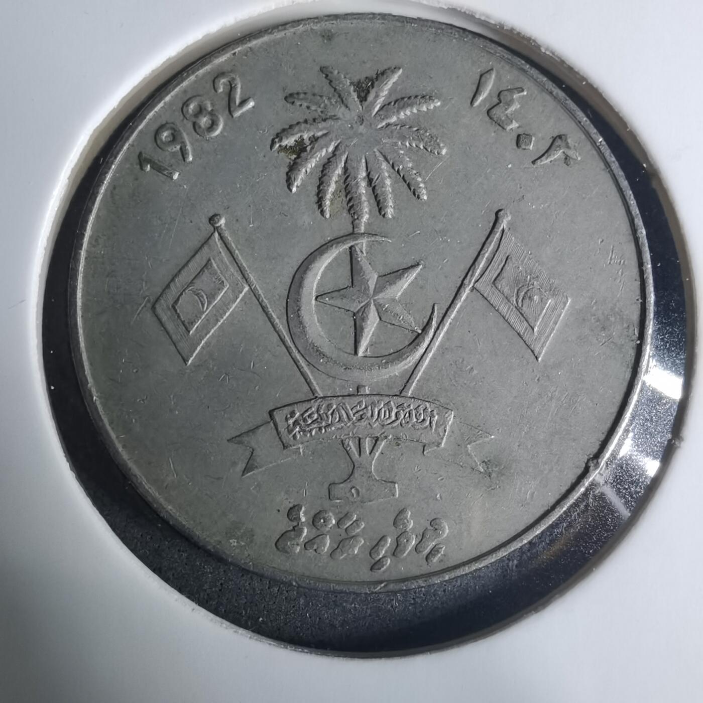 沼泽如烟--第919场