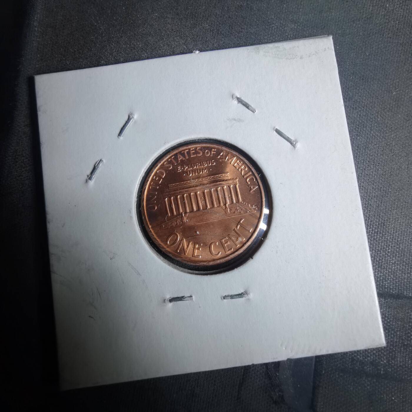 沼泽如烟--第919场